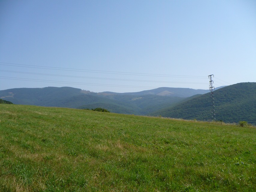 img00162.jpg