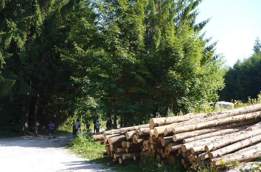 img00184.jpg