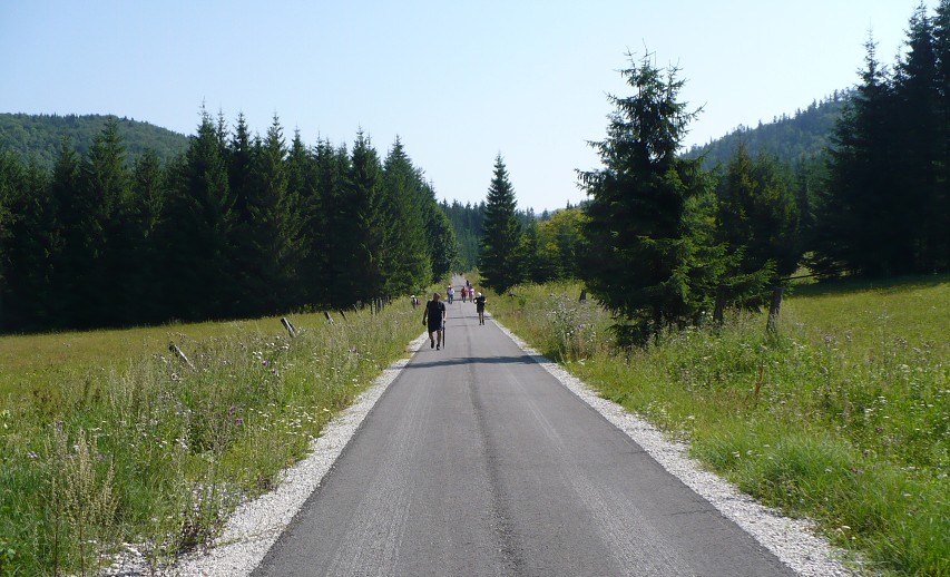 img00185.jpg