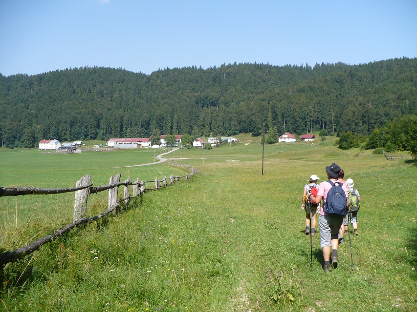 img00187.jpg