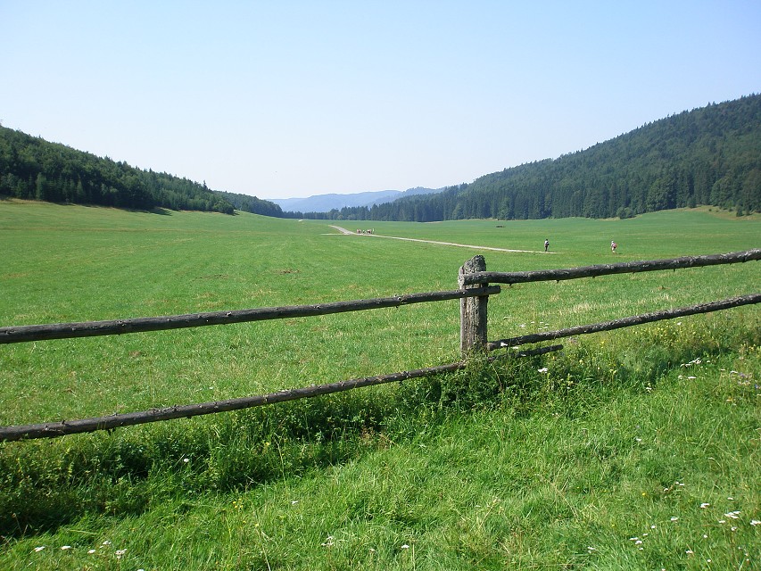 img00188.jpg