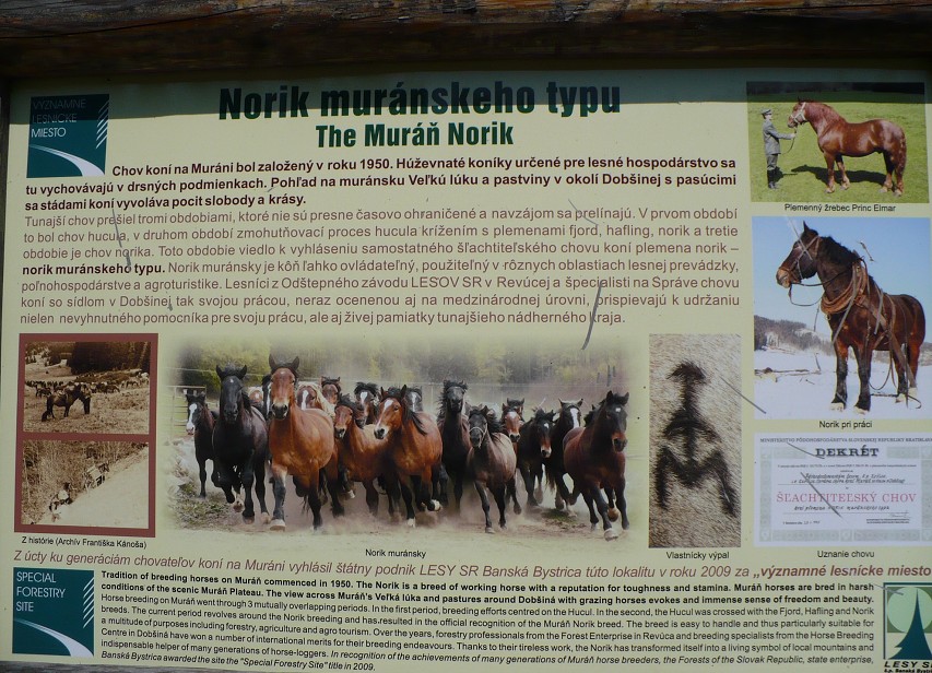 img00191.jpg