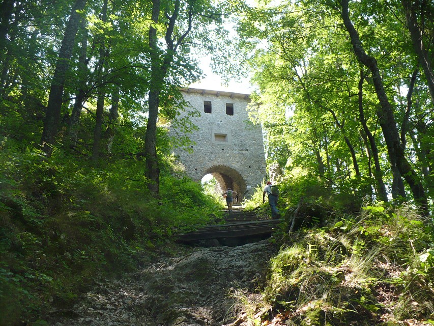 img00202.jpg