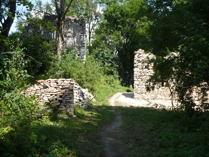 img00204.jpg