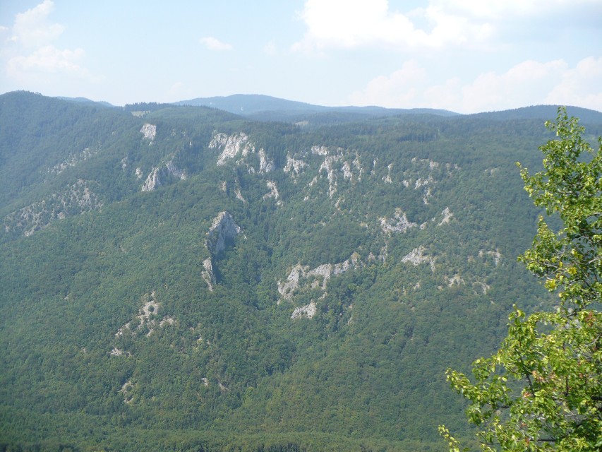 img00207.jpg
