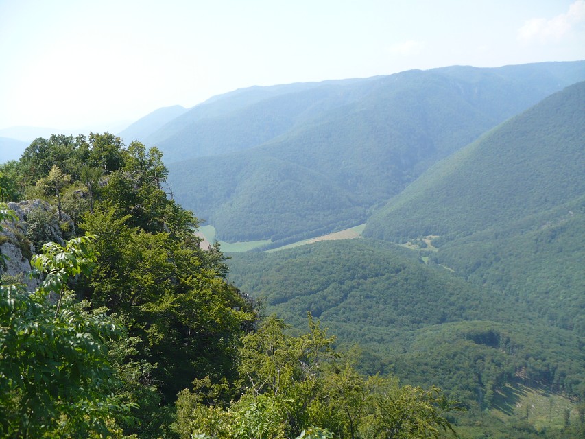 img00208.jpg