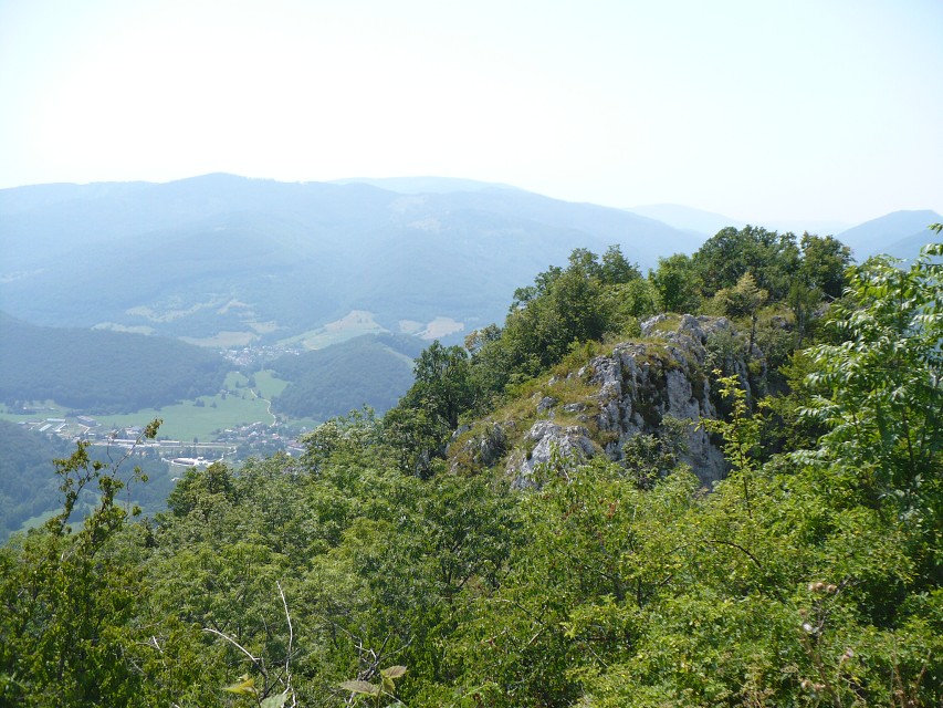img00209.jpg