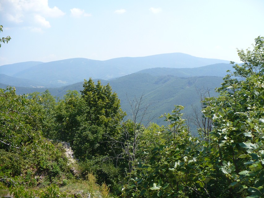 img00210.jpg