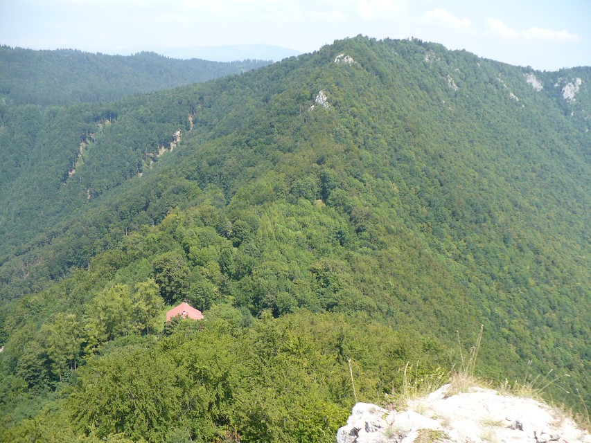 img00215.jpg