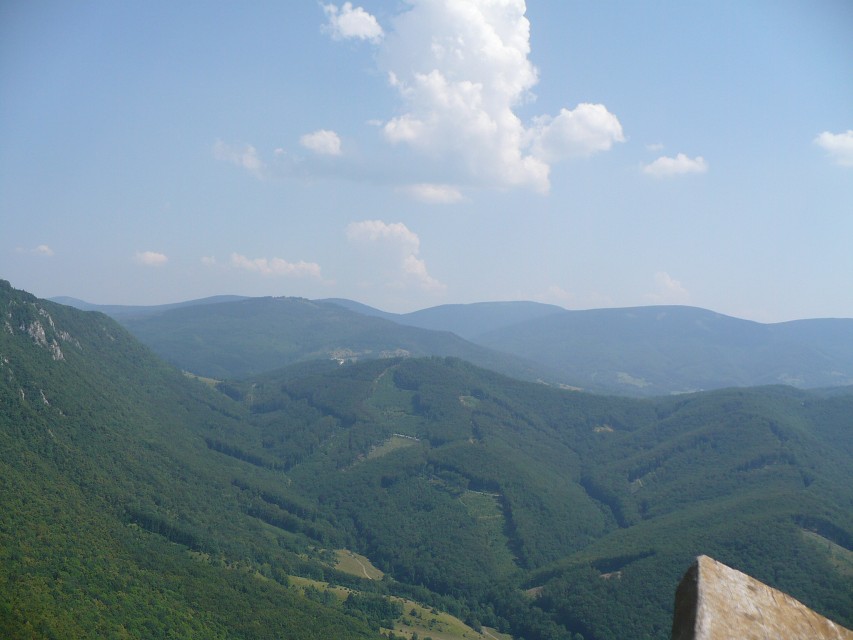 img00216.jpg