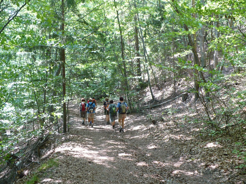 img00217.jpg