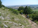 thn00122.jpg
