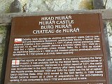 thn00203.jpg
