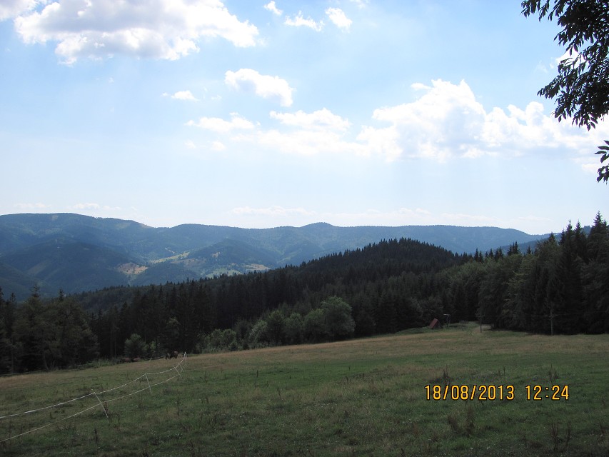 img00016.jpg