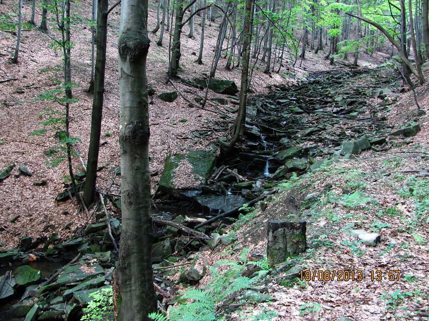img00021.jpg