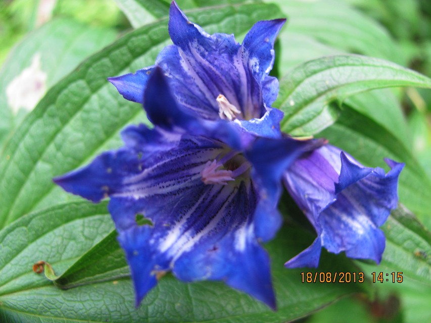 img00024.jpg