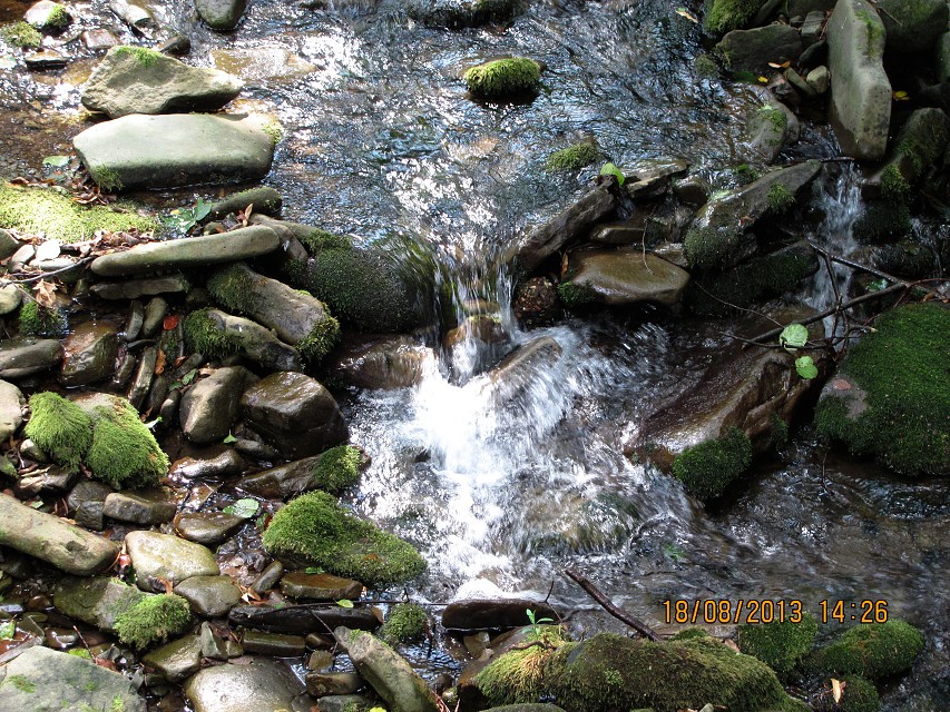 img00027.jpg