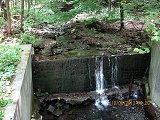 thn00026.jpg