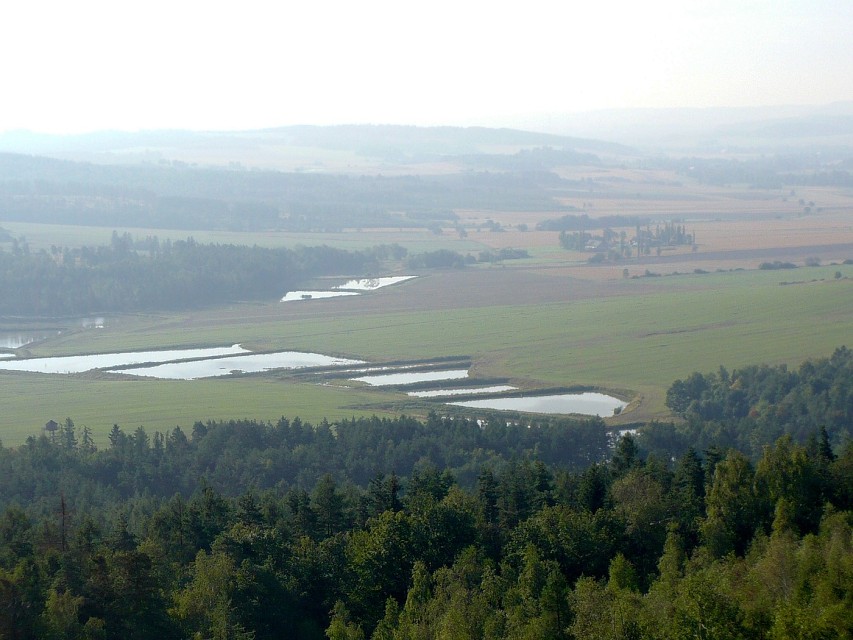 img00013.jpg