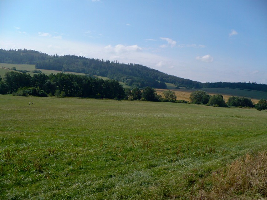 img00029.jpg