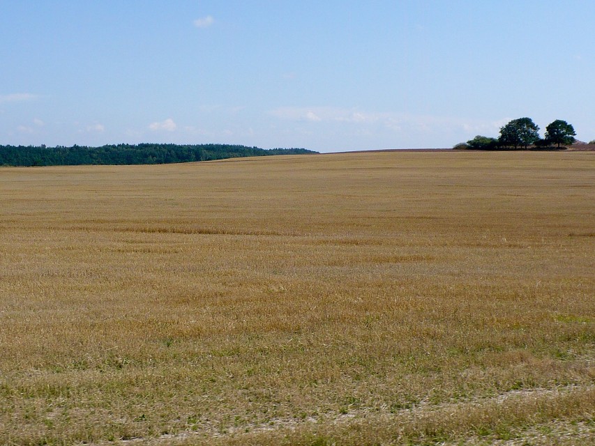 img00030.jpg