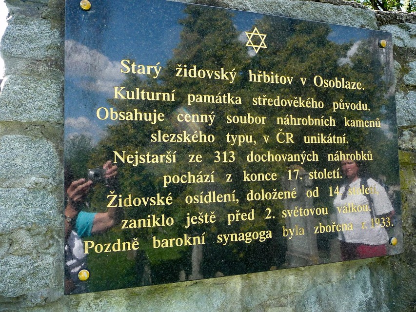 img00036.jpg