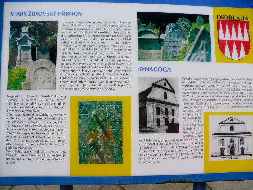img00037.jpg