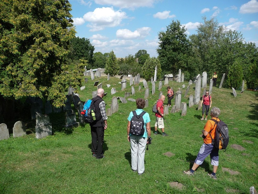 img00038.jpg