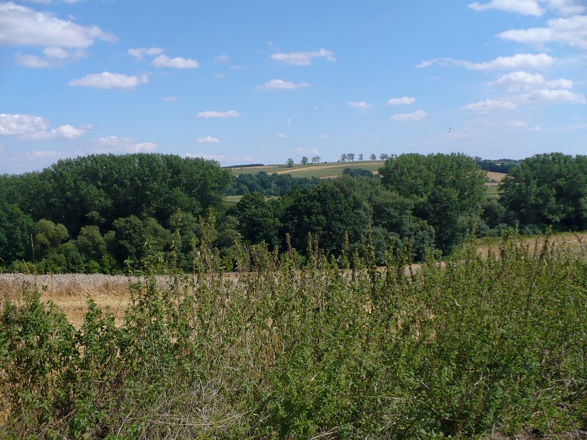 img00046.jpg