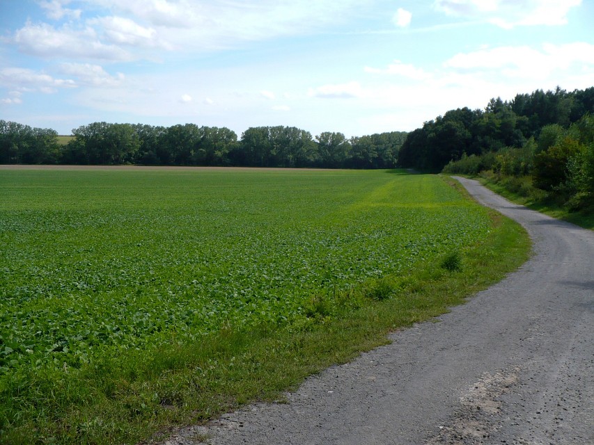 img00048.jpg