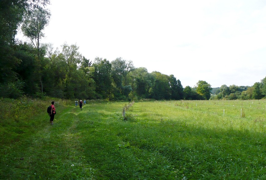 img00062.jpg