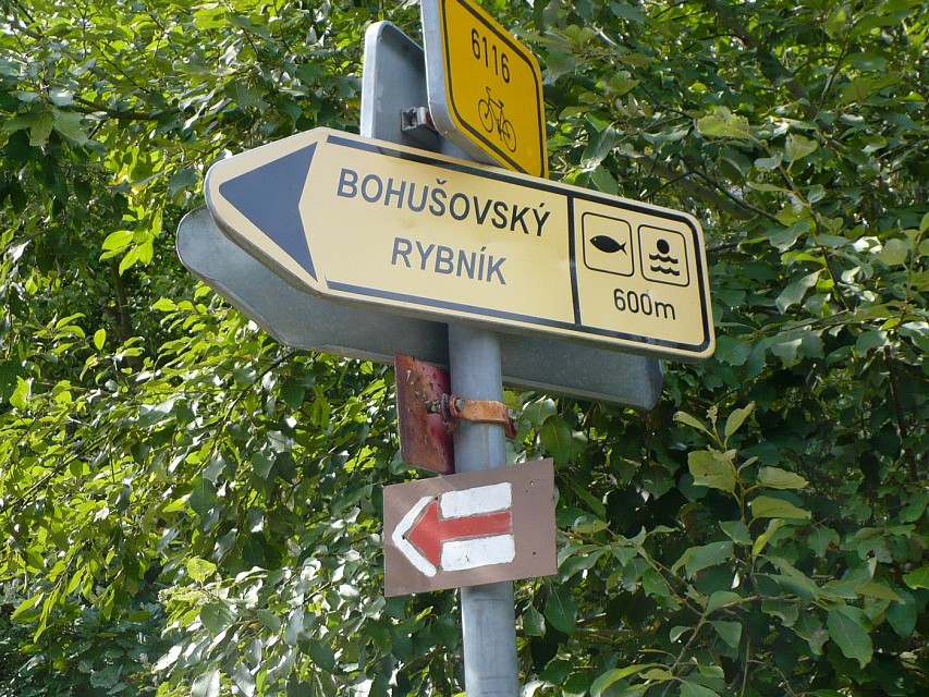 img00064.jpg