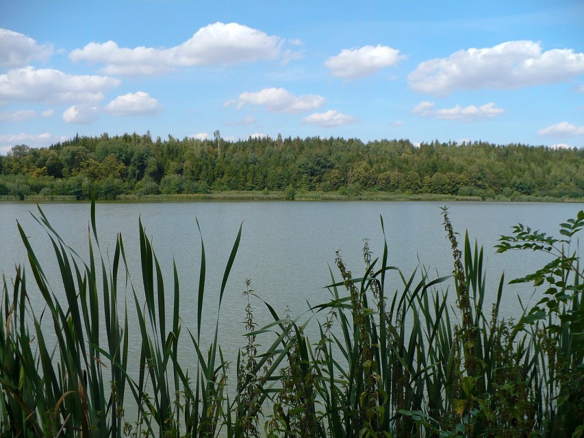 img00065.jpg