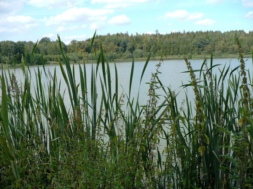 img00066.jpg