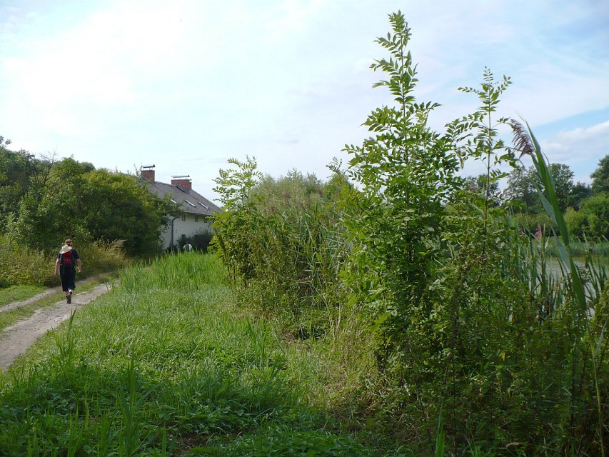 img00067.jpg