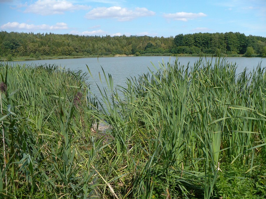 img00069.jpg