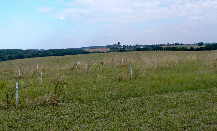 img00073.jpg