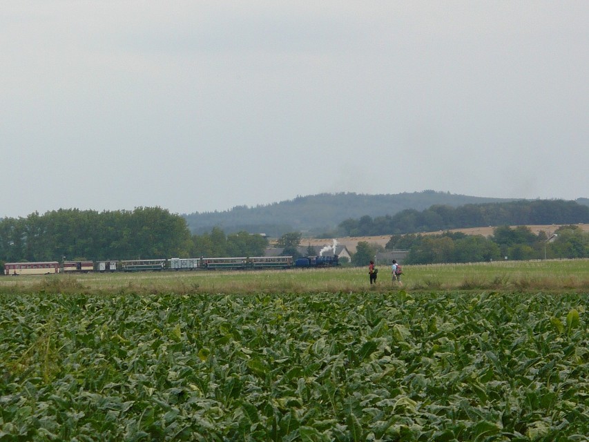img00078.jpg