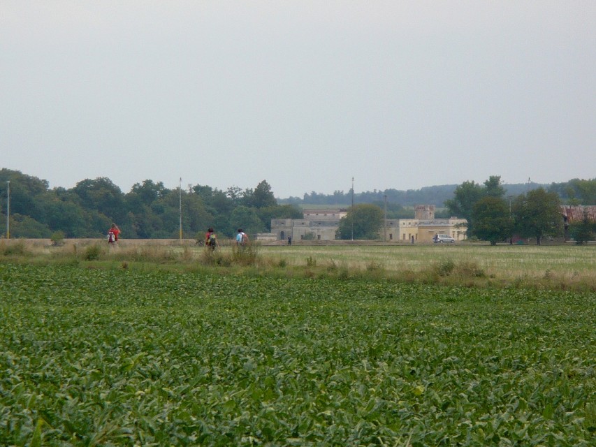 img00079.jpg