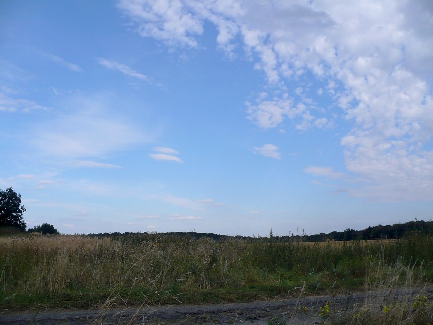 img00081.jpg