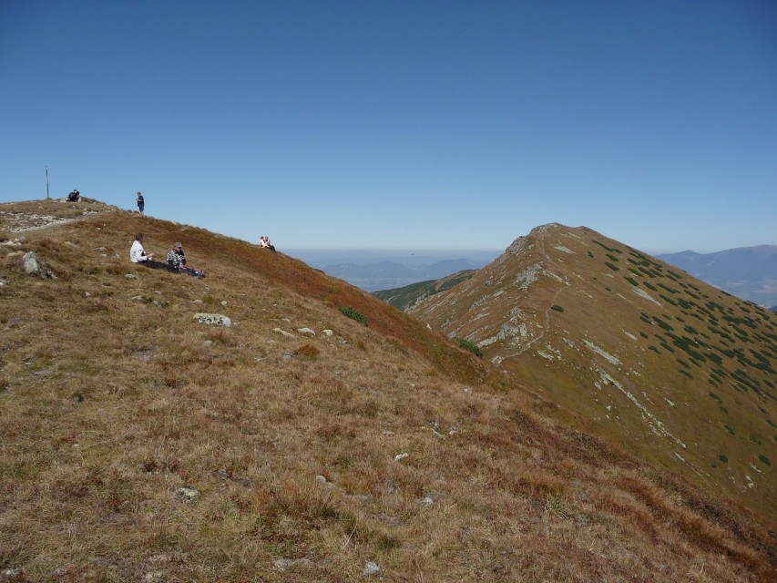 img00019.jpg