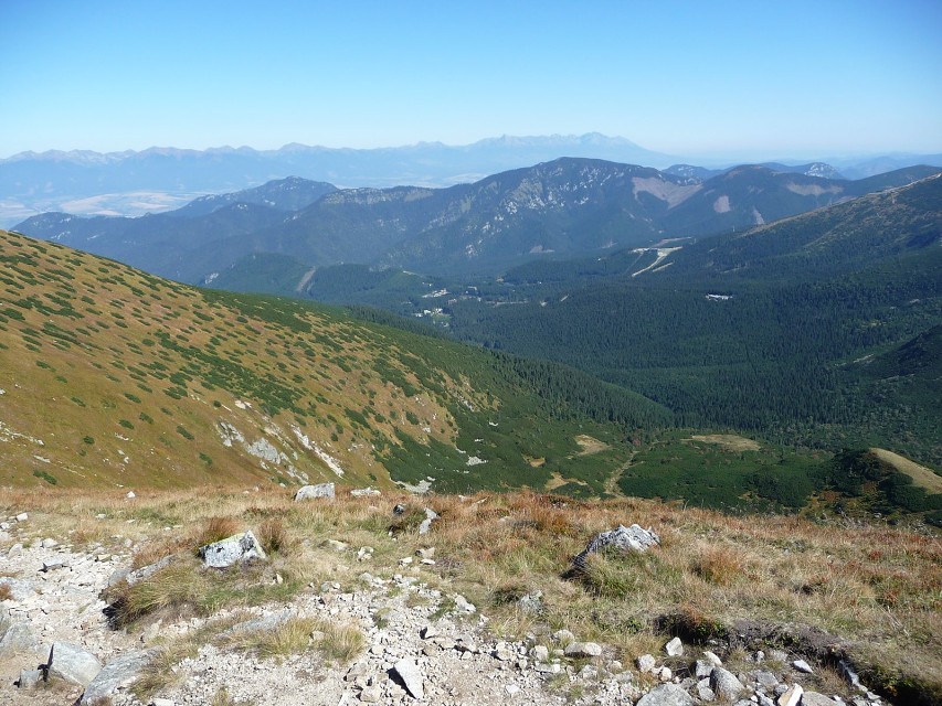 img00022.jpg