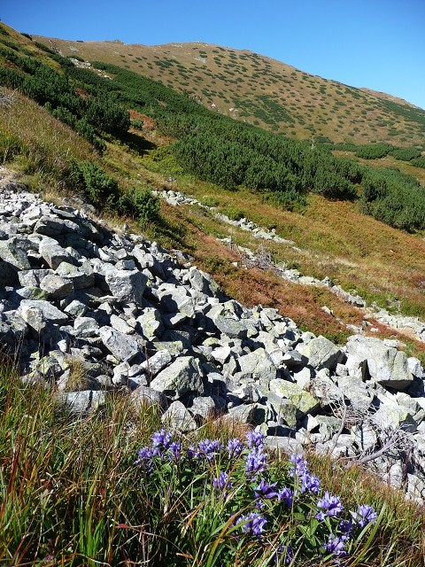 img00028.jpg