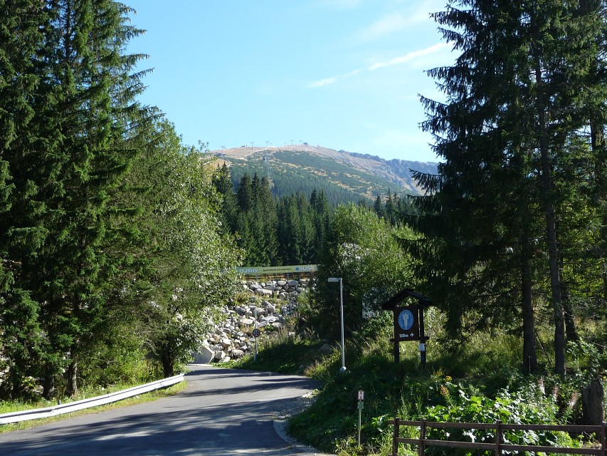 img00035.jpg