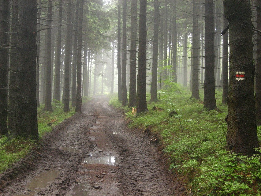 img00007.jpg