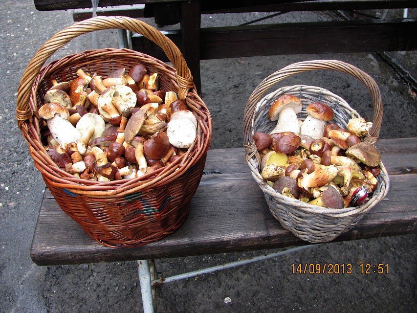 img00076.jpg