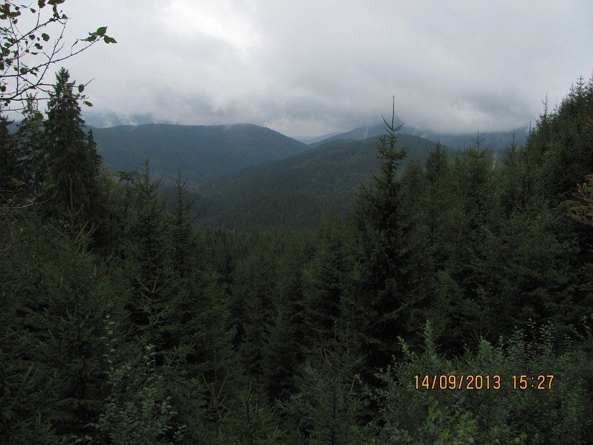 img00081.jpg