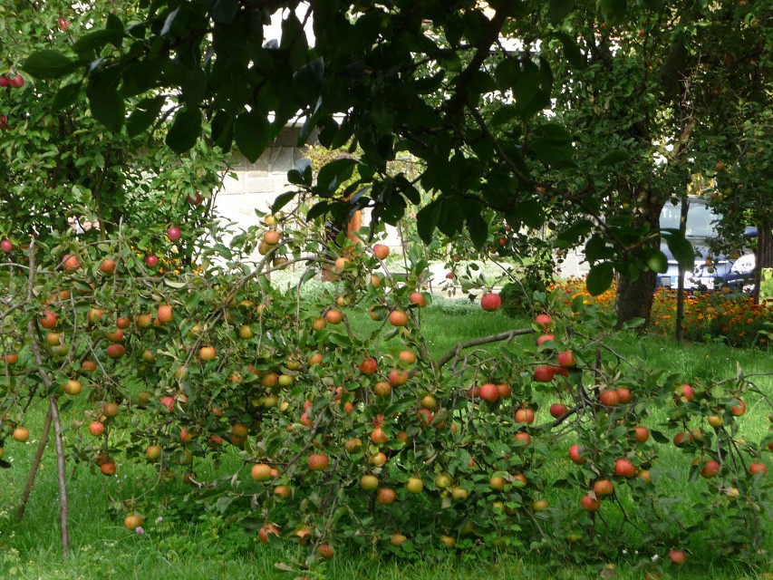 img00005.jpg