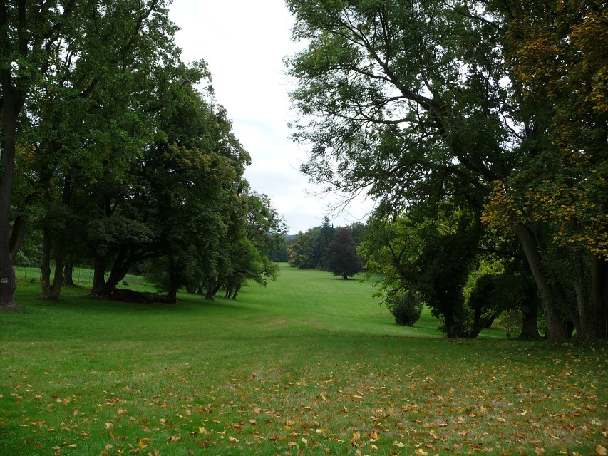 img00032.jpg