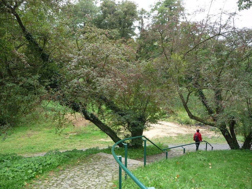 img00033.jpg